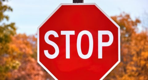 close-up-stop-sign-forest_1268-15210